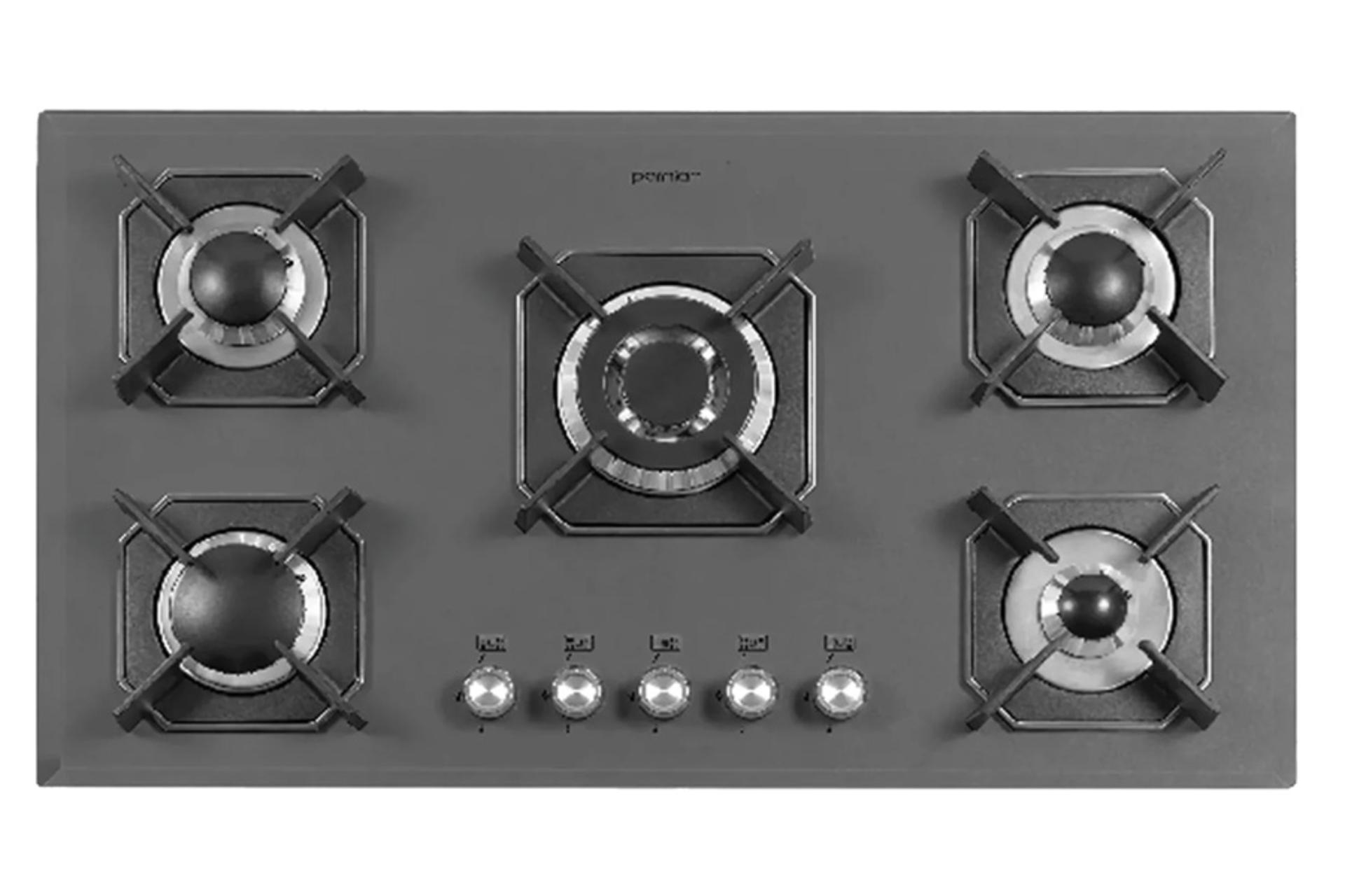 اجاق گاز صفحه ای و رومیزی پرنیان استیل PB 5209 G نمای بالا