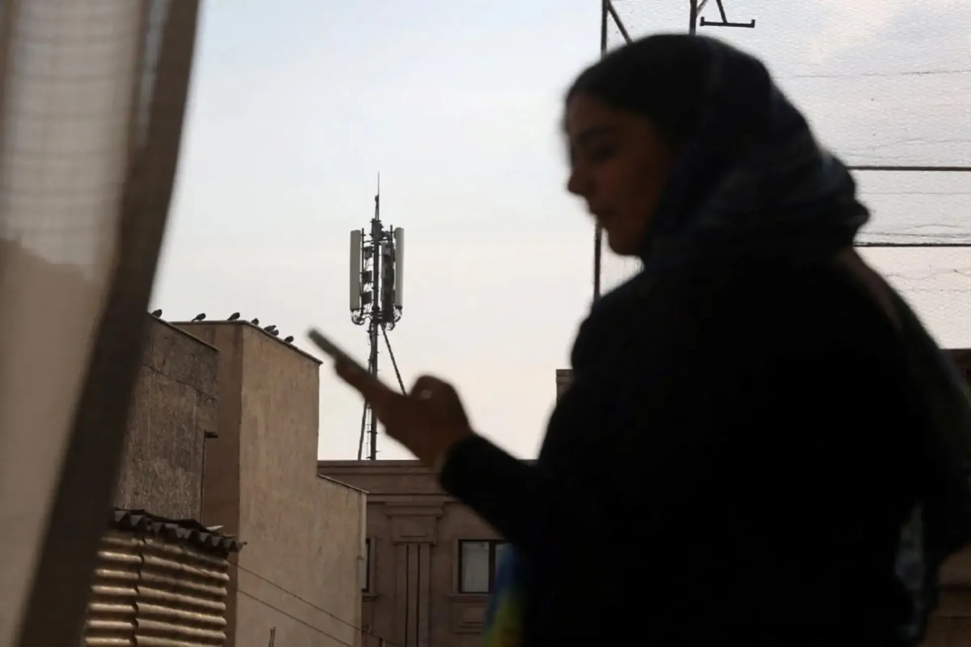 قطع اینترنت