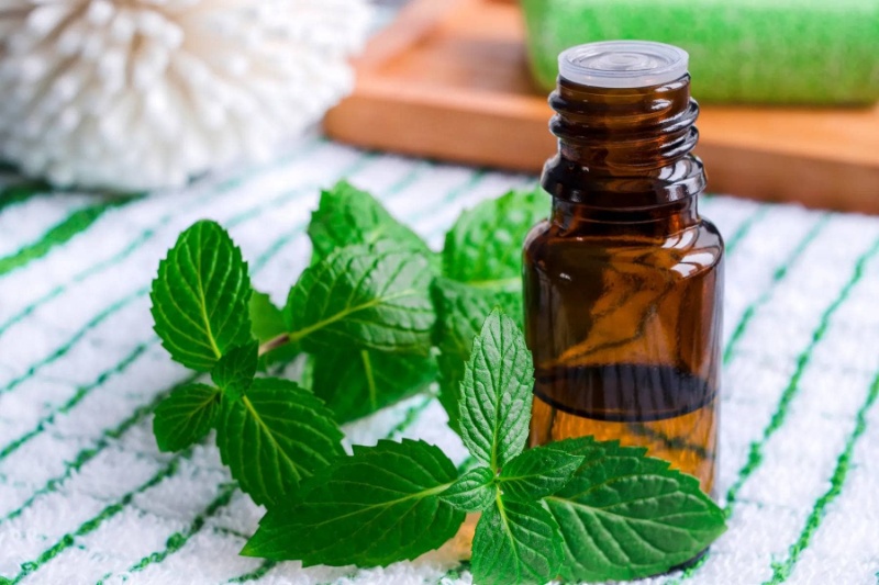 پژوهشگران درمان طبیعی ارزانی برای فشار خون پیدا کردند