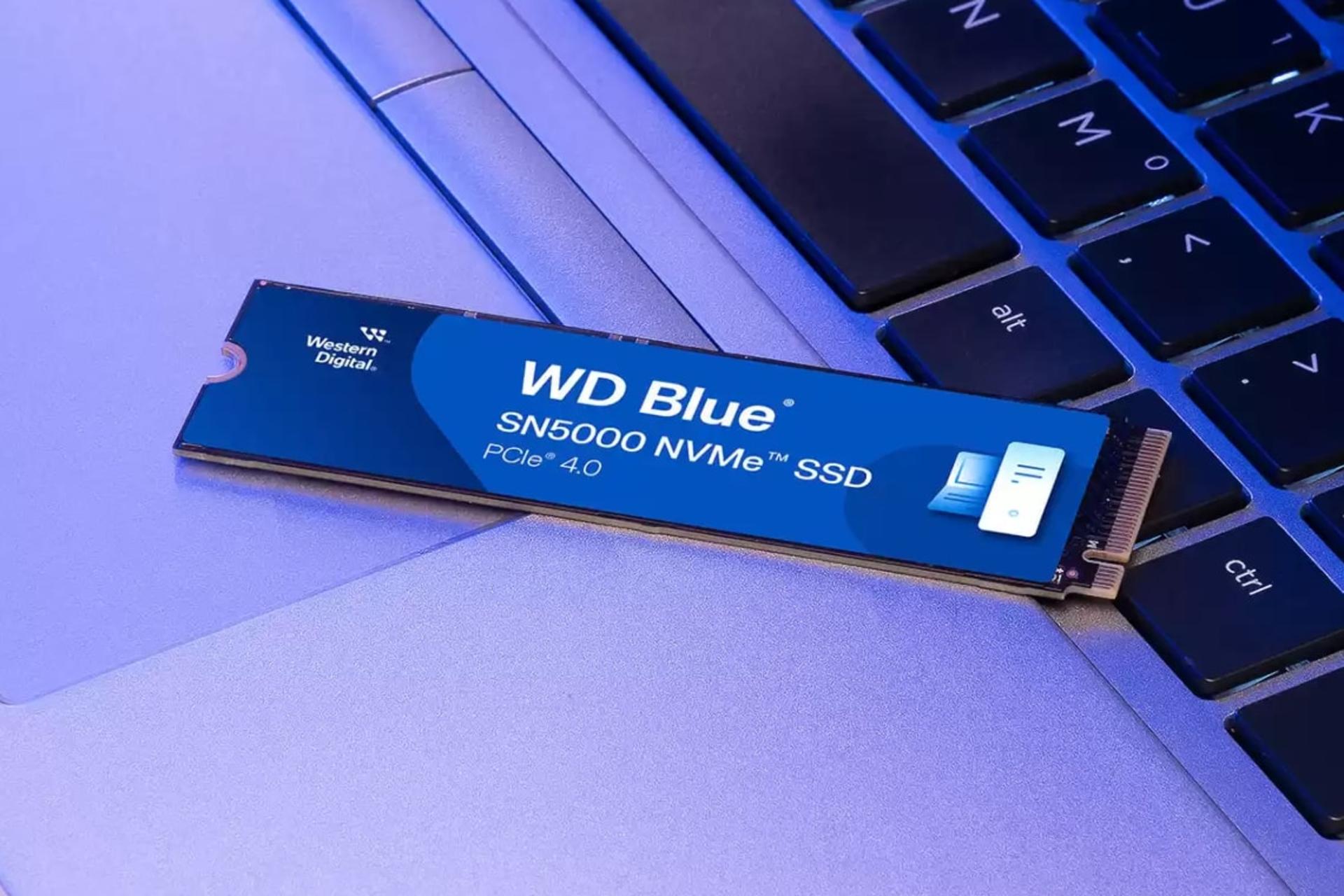 اس اس دی وسترن دیجیتال Western Digital Blue SN5000 NVMe M.2 روی لپ تاپ