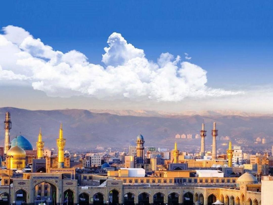 فلای تودی