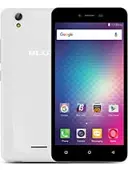 Studio M بلو LTE-1