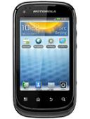 XT319 موتورولا-1