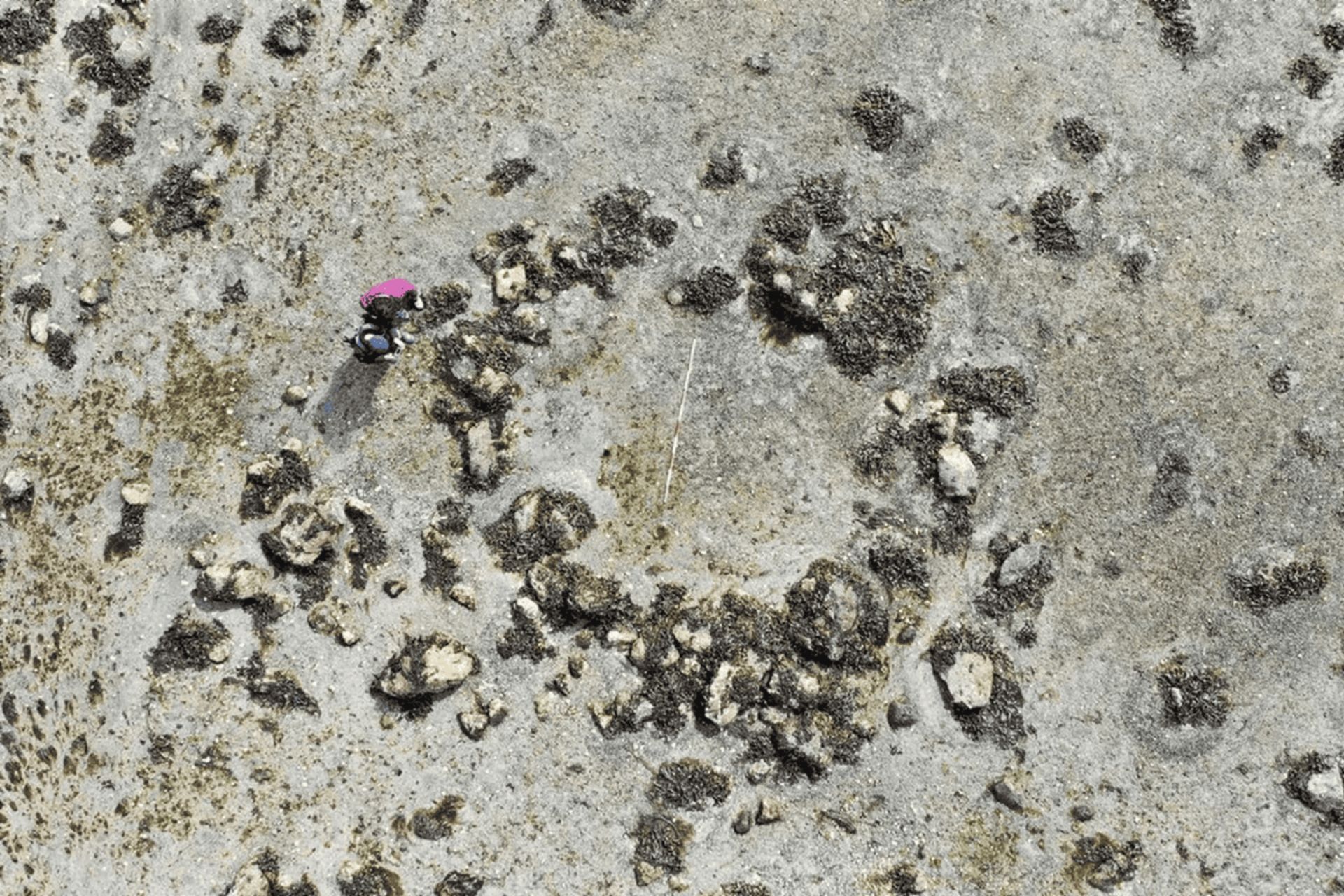 ردیف دایره‌ای از سنگ‌ها کشف شده در جزیره اسکای