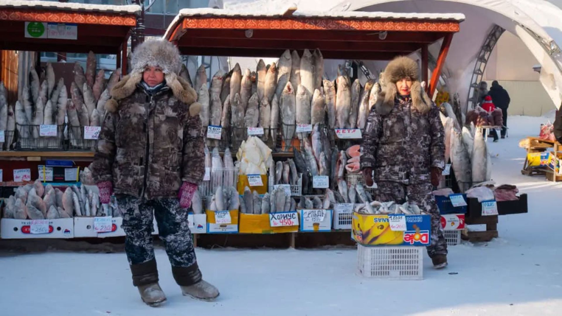 ماهی فروشی در اویمیاکن با دمای -۷۱ درجه