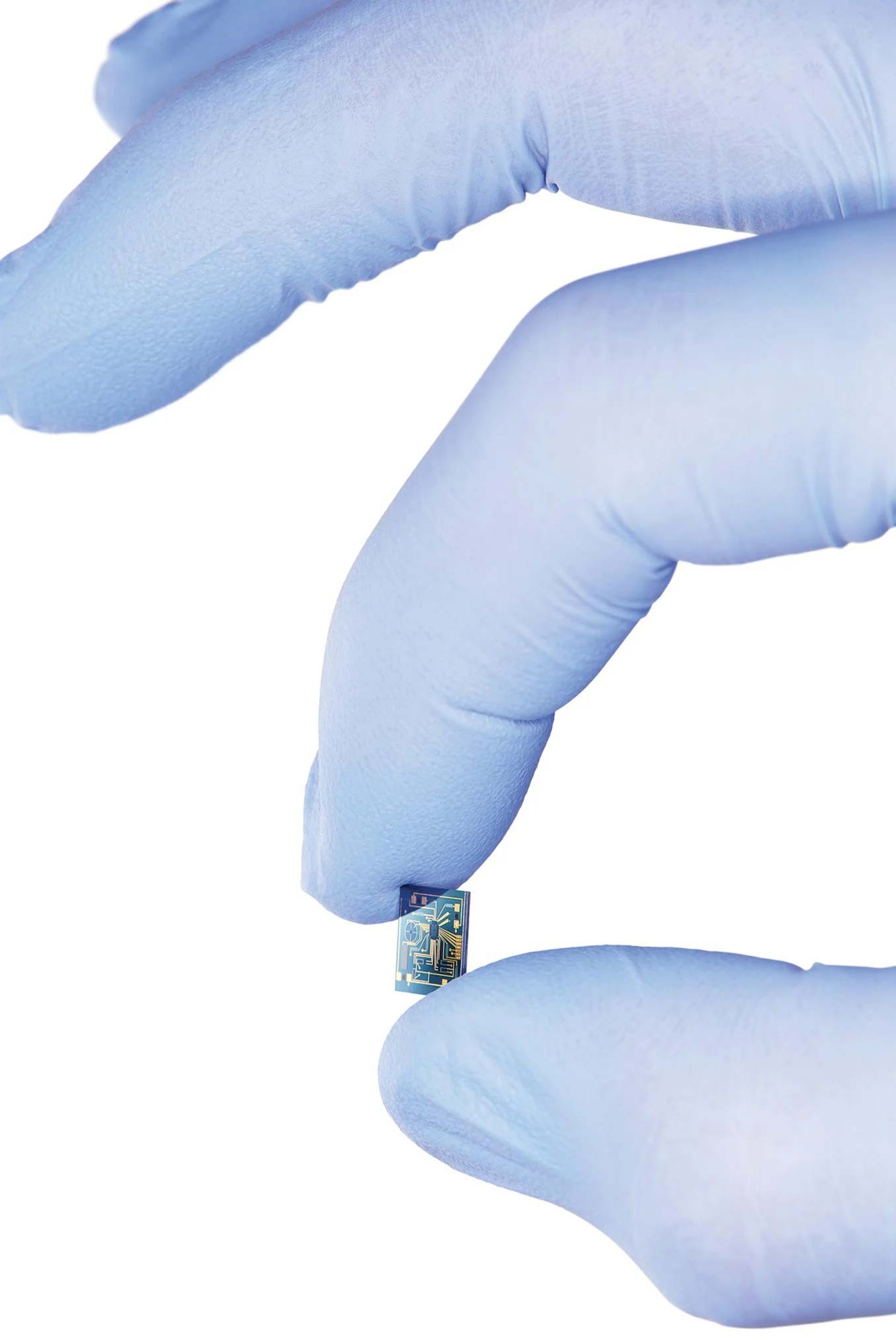 نمای نزدیک از دستی در دستکش آبی که تراشه کامپیوتر کوچکی را گرفته است