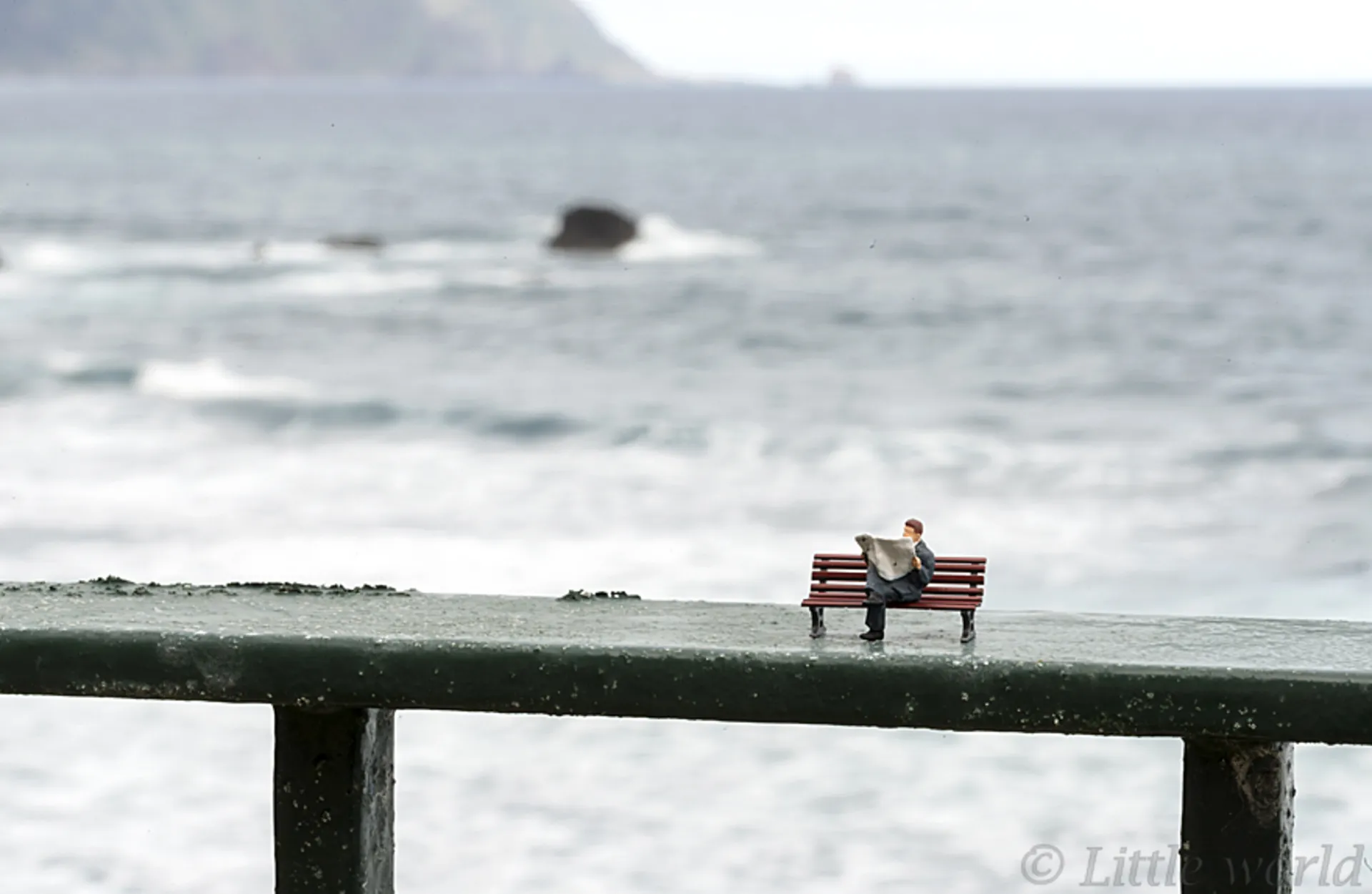 نیکت کنار ساحل مرد در حال روزنامه خواندن