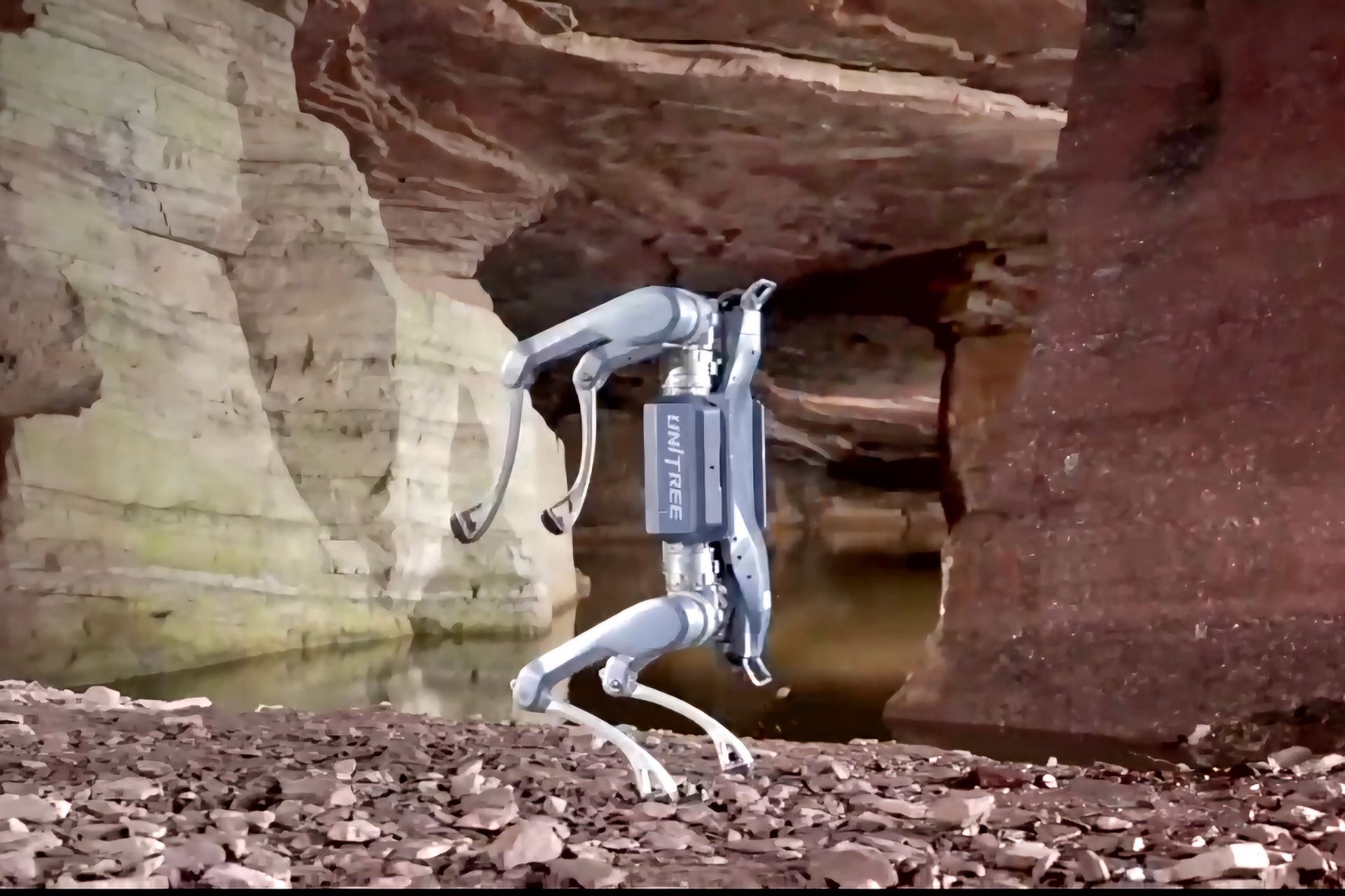 سگ رباتیک Unitree A2 Stellar Hunter درحال پشتک‌وارو زدن