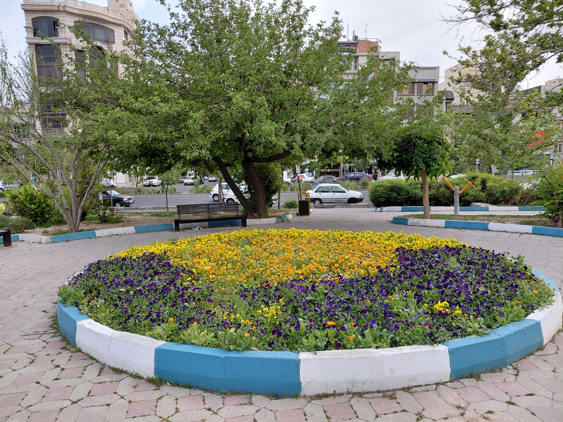میدان وسط پارک