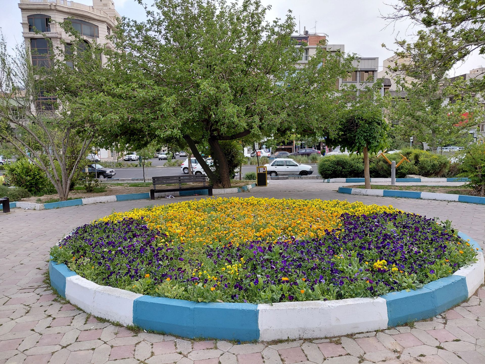 میدان وسط پارک