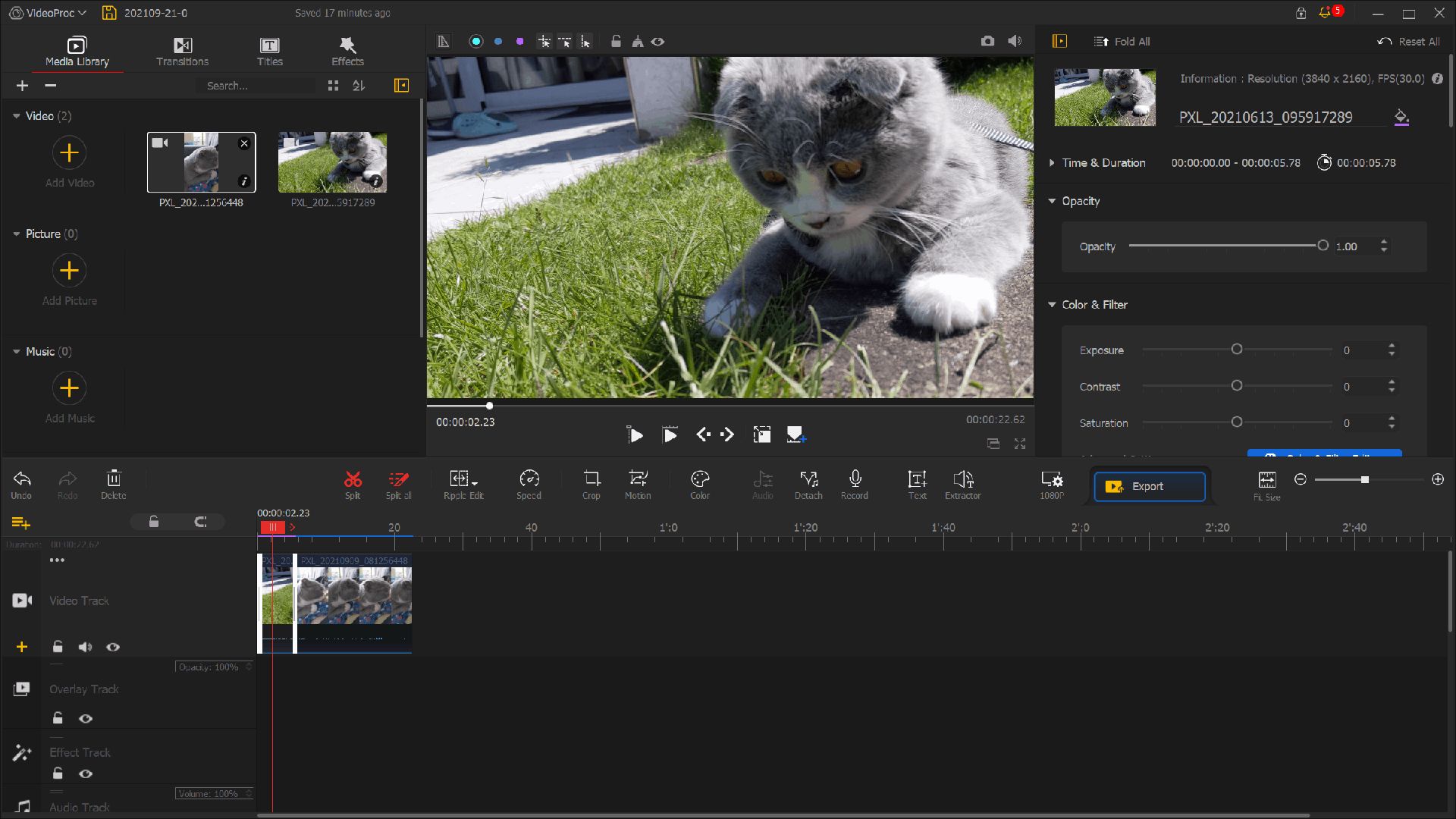 ویدئوی گربه ای در نرم افزار videoproc vlogger