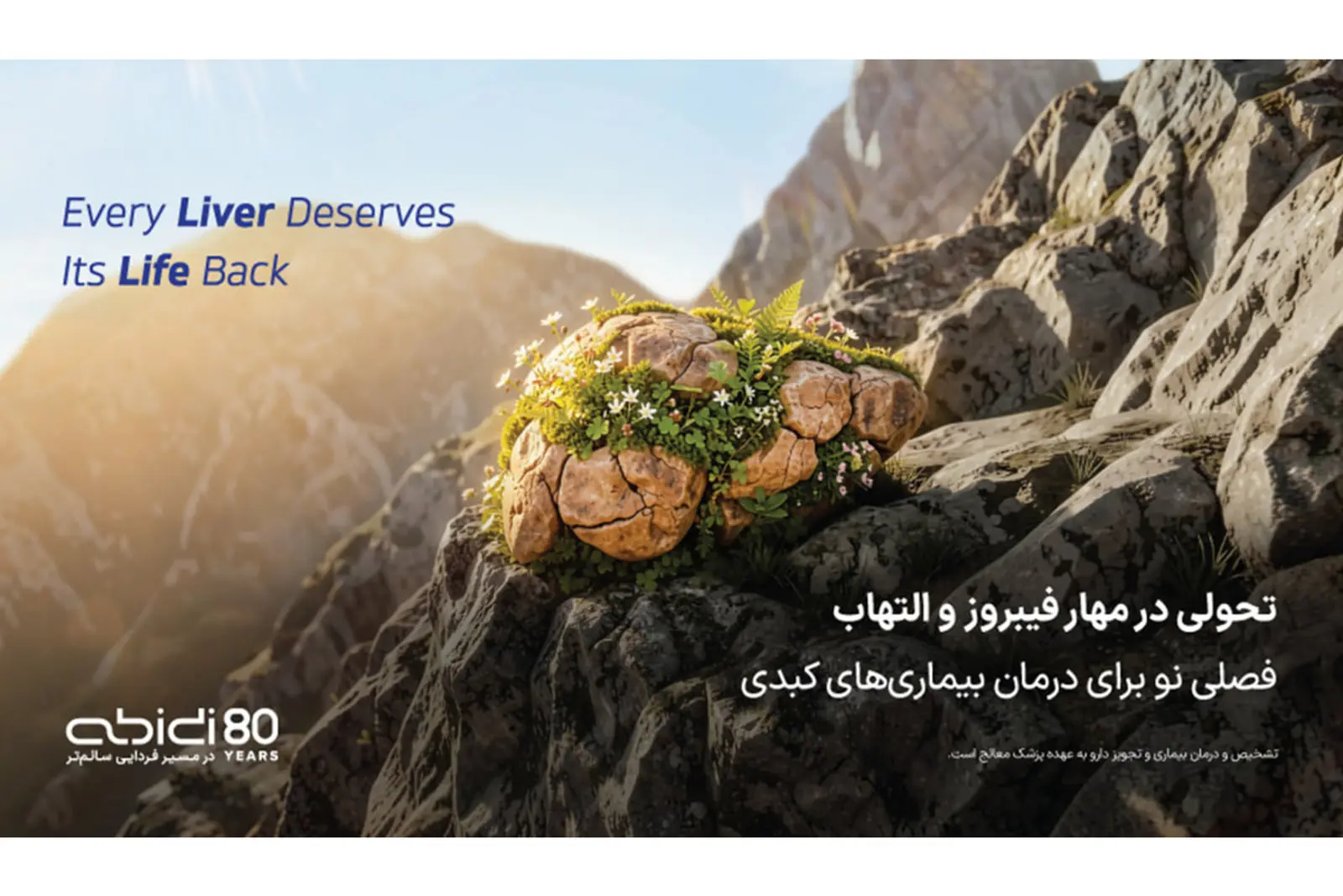 سنگی پوشیده از گیاهان سبز در میان کوهستان برای درمان کبد چرب