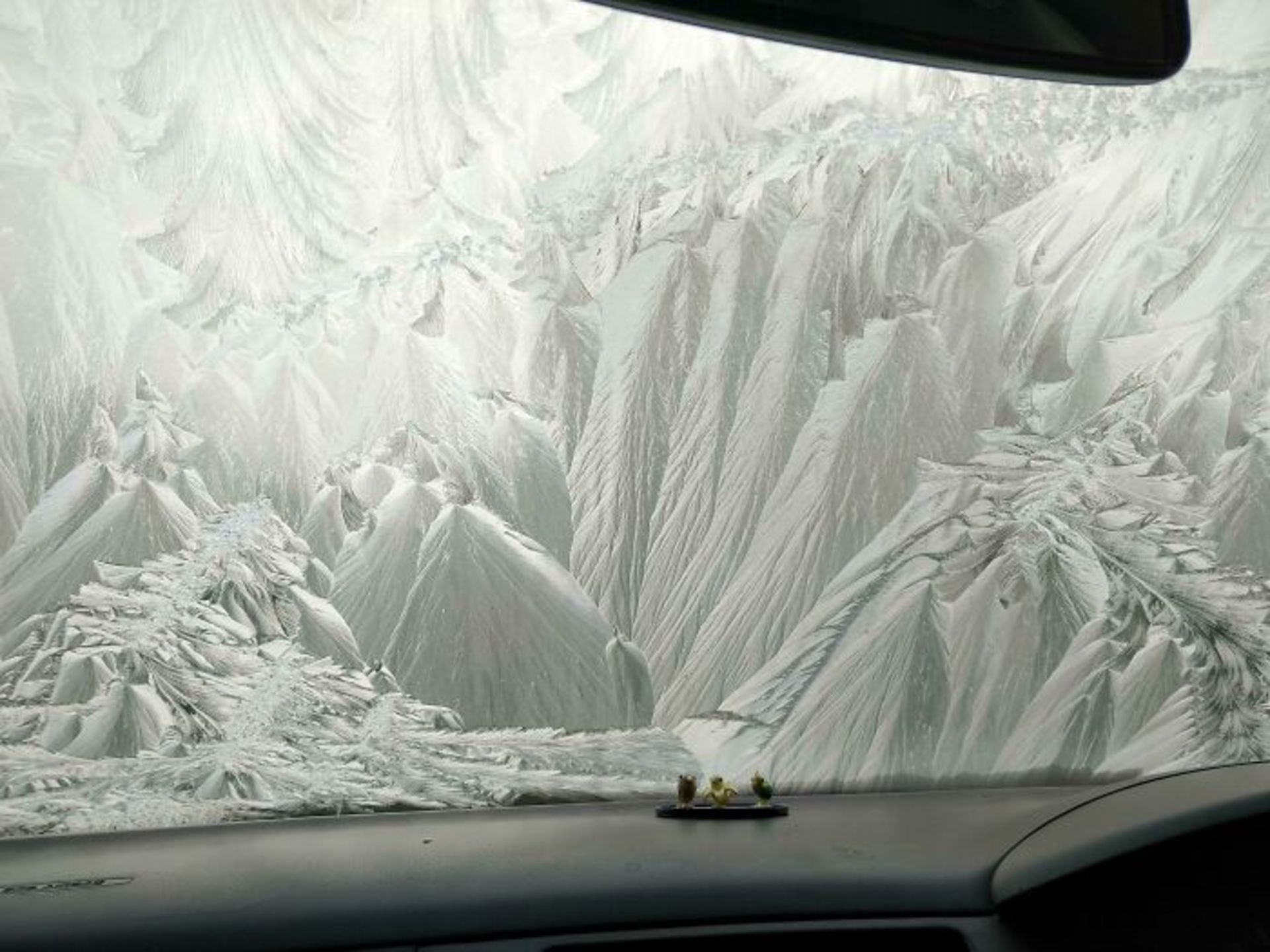 یخ زدن شیشه جلو ماشین