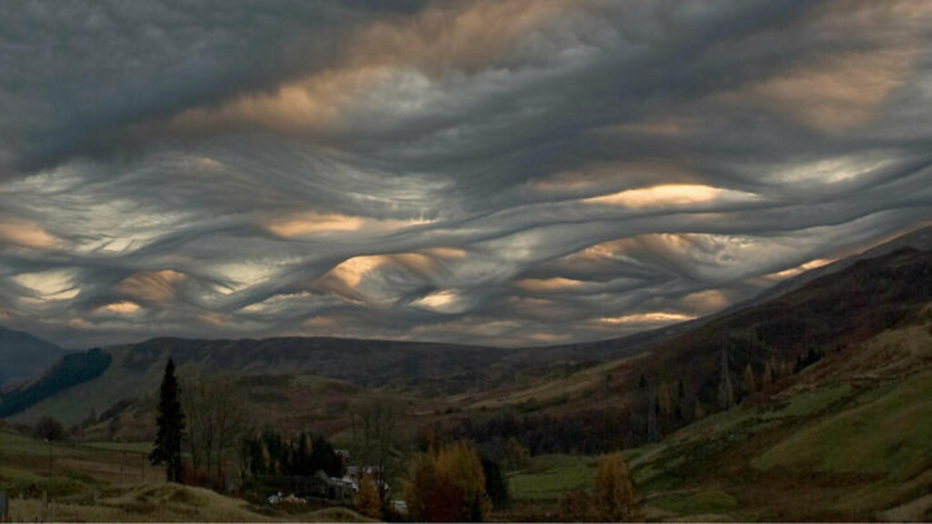 آسمان ابری بالای جنگل