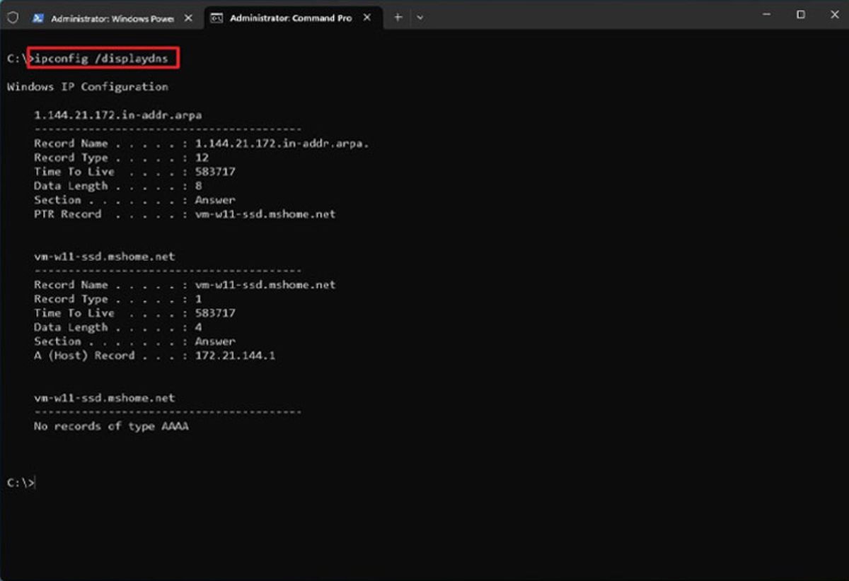 View cache records in local memory