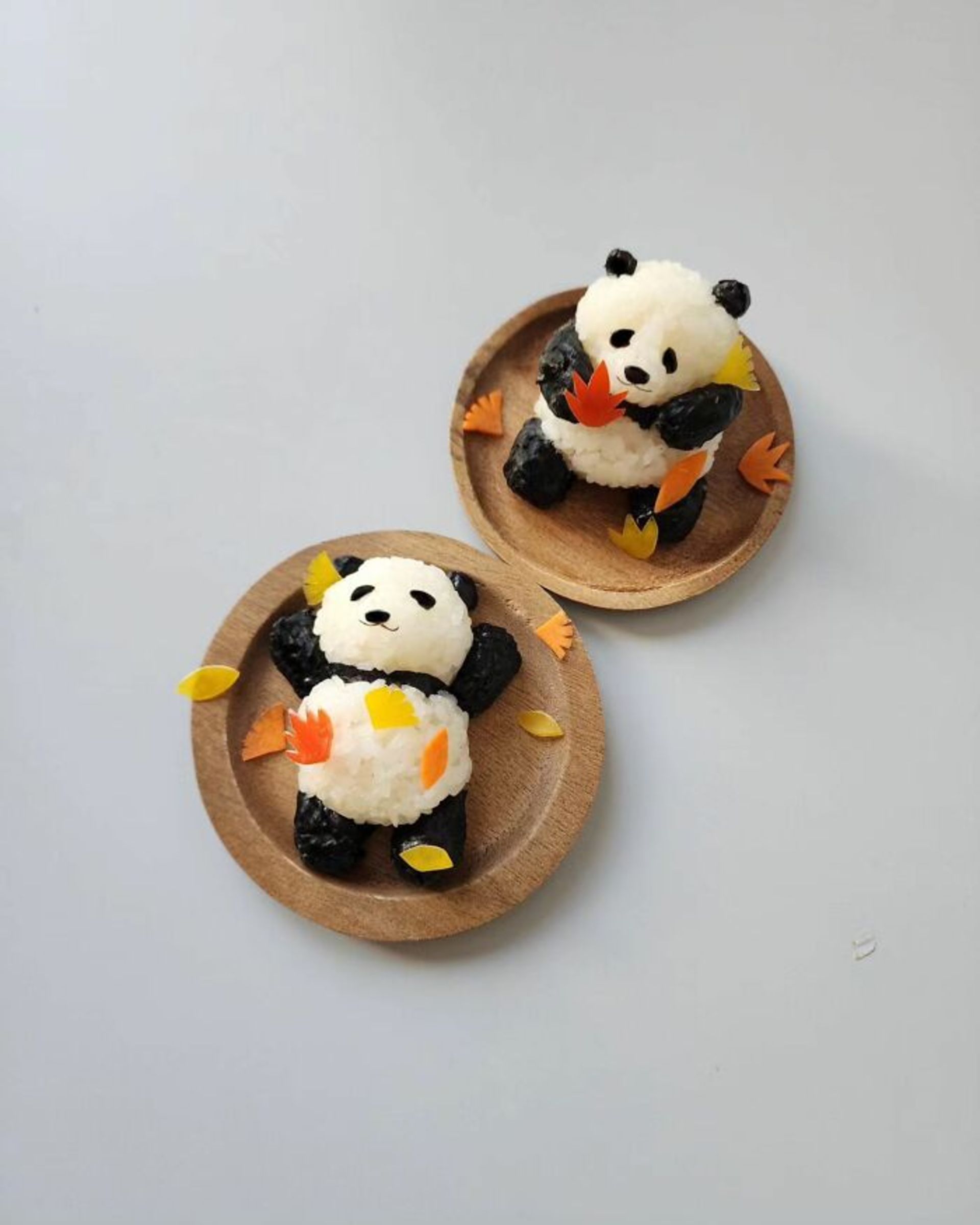 دو خوراکی پاندا در ظرف 