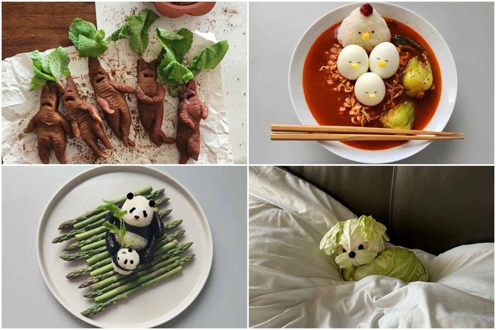 تزیین غذا و سفره آرایی