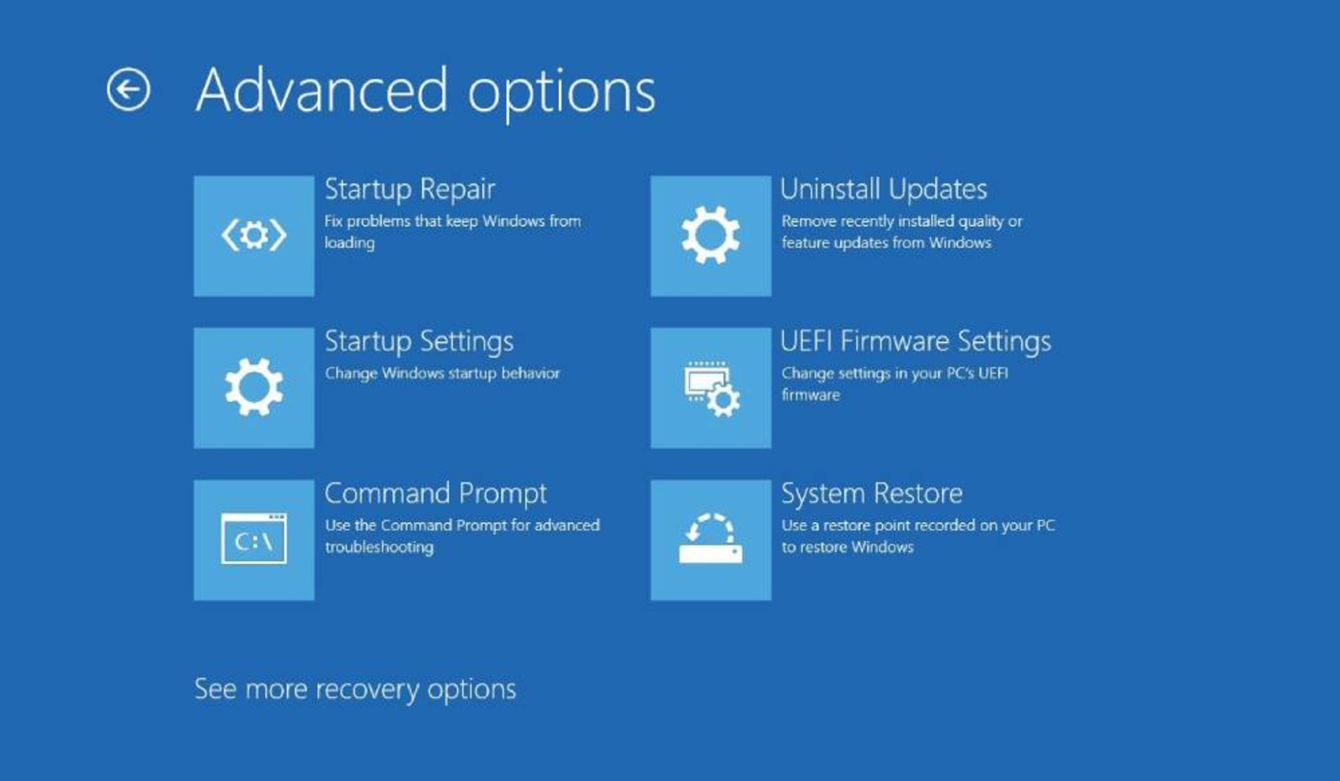 پنجره‌ی Advanced options