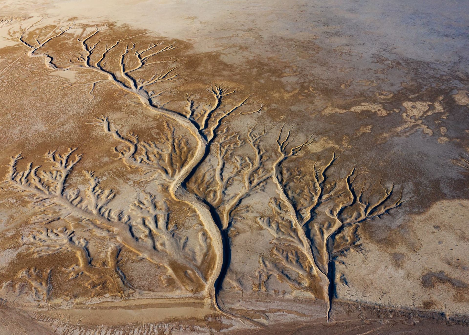 پنجه های فرسایشی سیستان بلوچستان 