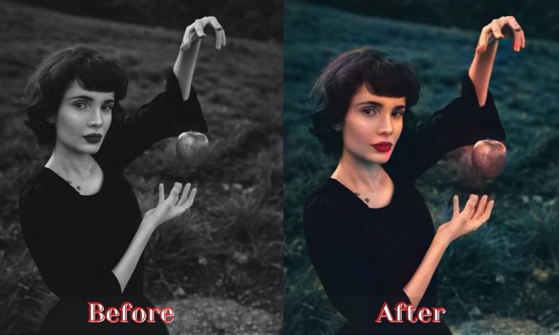 فیلتر تبدیل عکس‌های سیاه‌وسفید به عکس‌های رنگی در اپلیکیشن Image Colorizer