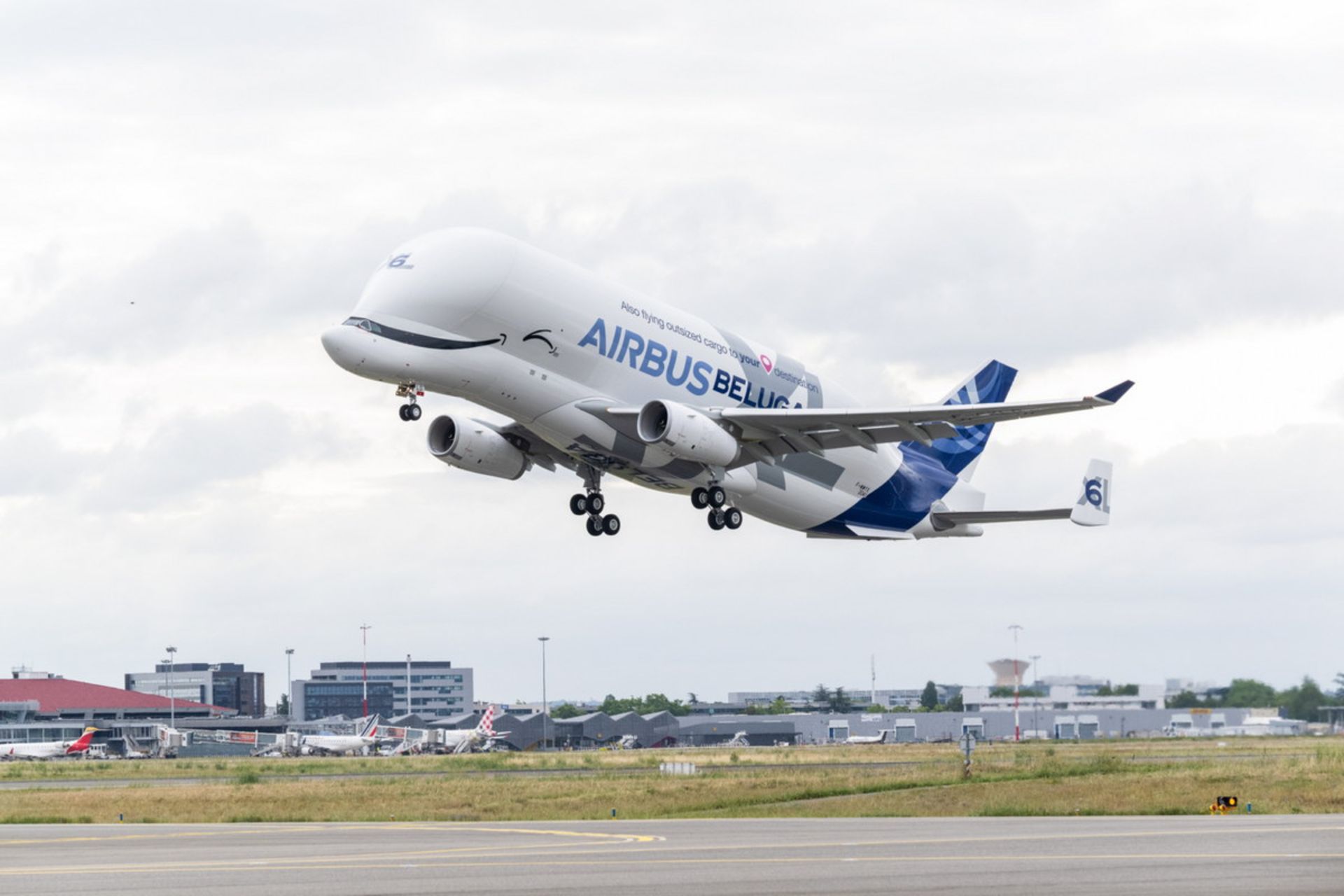 هواپیمای ایربای بلوگا ایکس ال Airbus Beluga XL در حال تیک آف
