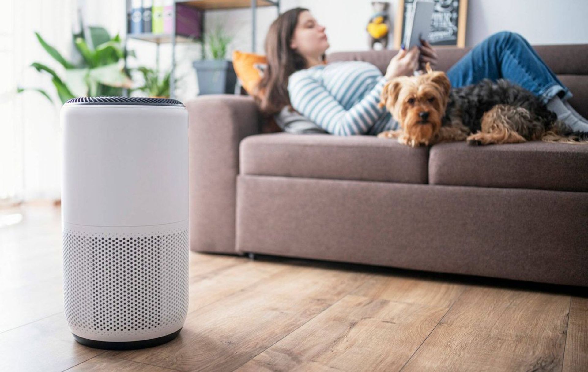 استفاده از دستگاه تصفیه هوا در منزل توسط کاربر خانم