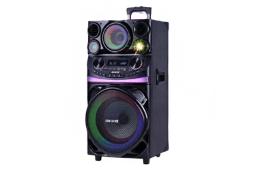 ابعاد و اندازه اسپیکر آیوا AW-X1121DSP PRO