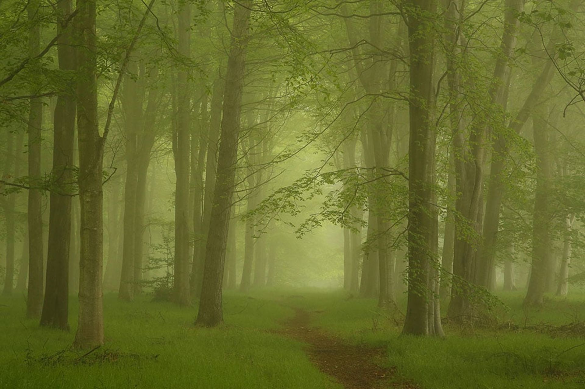 مسابقه عکاس مناظر سال ۲۰۲۳ اسکاتلند