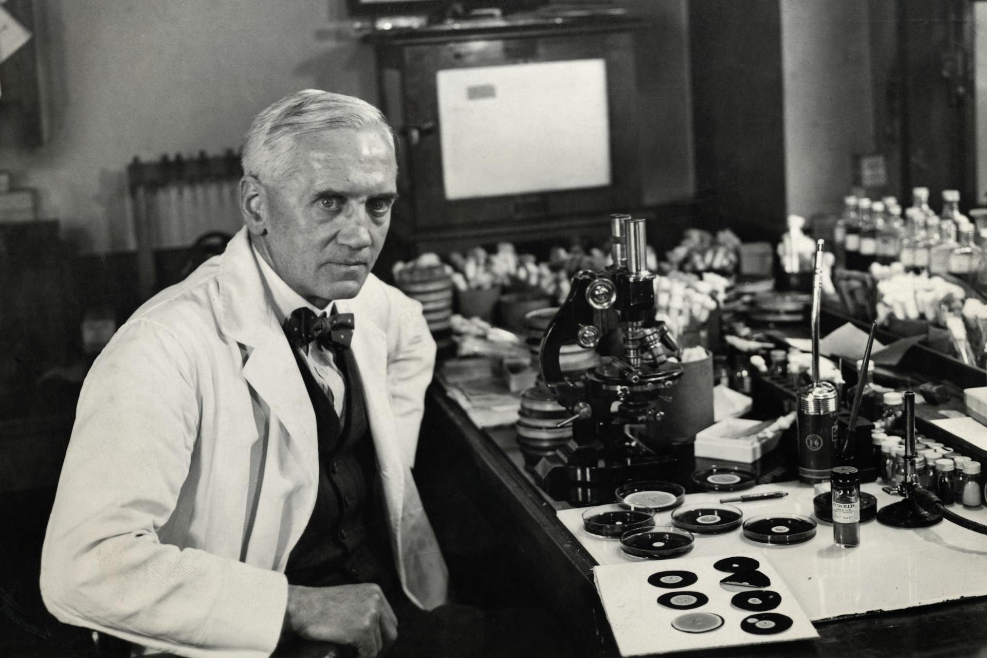 داستان پنی‌سیلین؛ چگونه کشف تصادفی کپکی سبز تاریخ پزشکی را دگرگون کرد؟