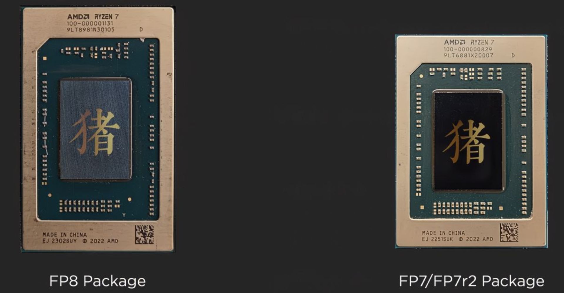 AMD Ryzen 7040 Phoenix