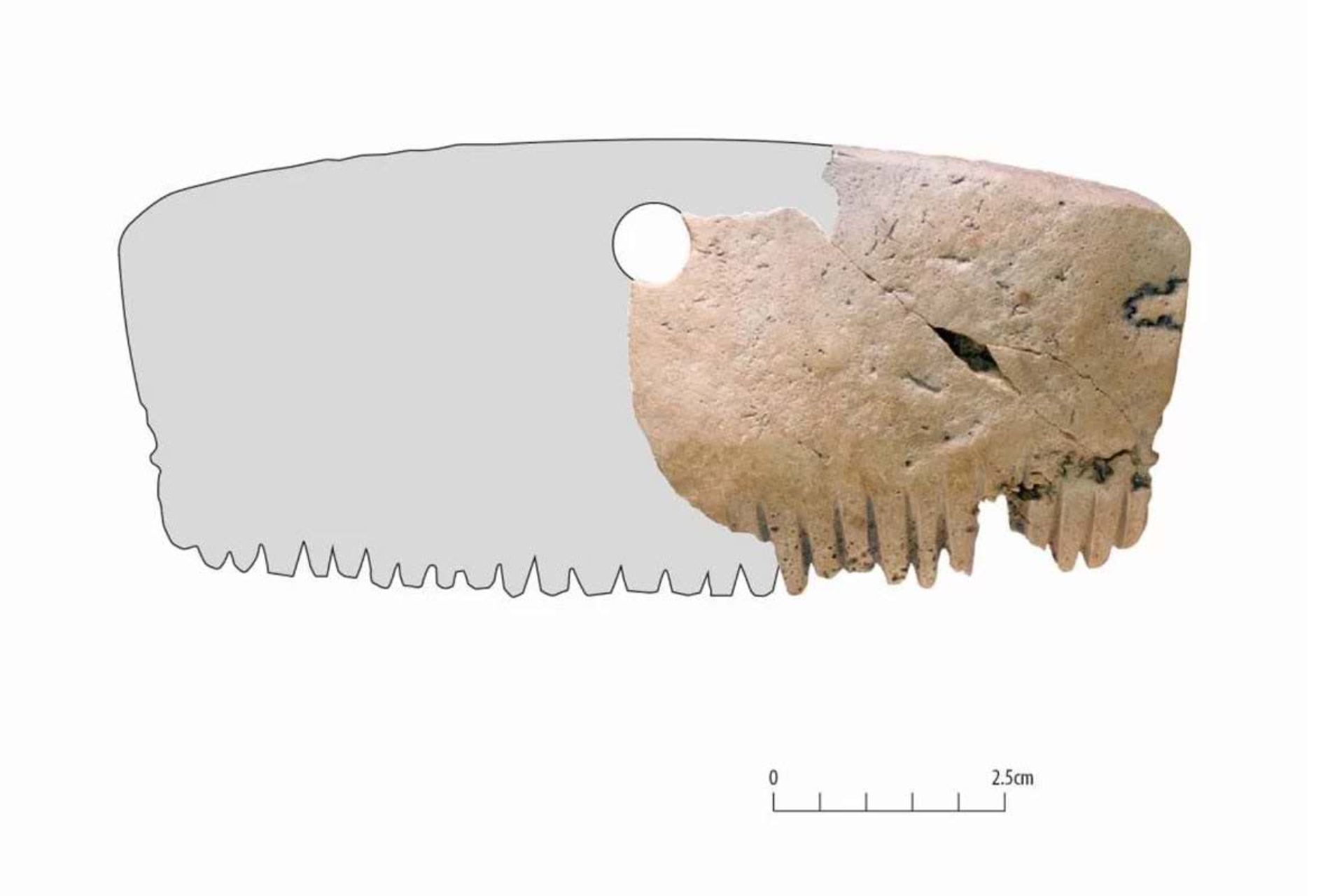 در این عکس ظاهر بازسازی‌شده شانه را می‌بینید.