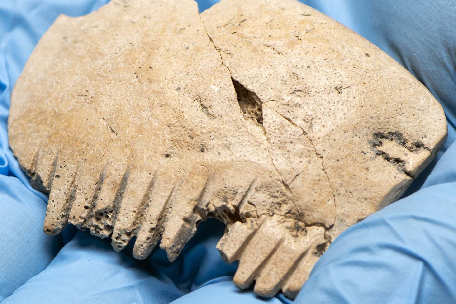 کشف یک شانه‌ مرموز با گذشته‌ای تاریک در انگلستان 