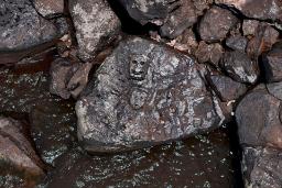 خشکسالی آمازون چهره‌های باستانی حک‌شده در صخره‌ها را آشکار کرد