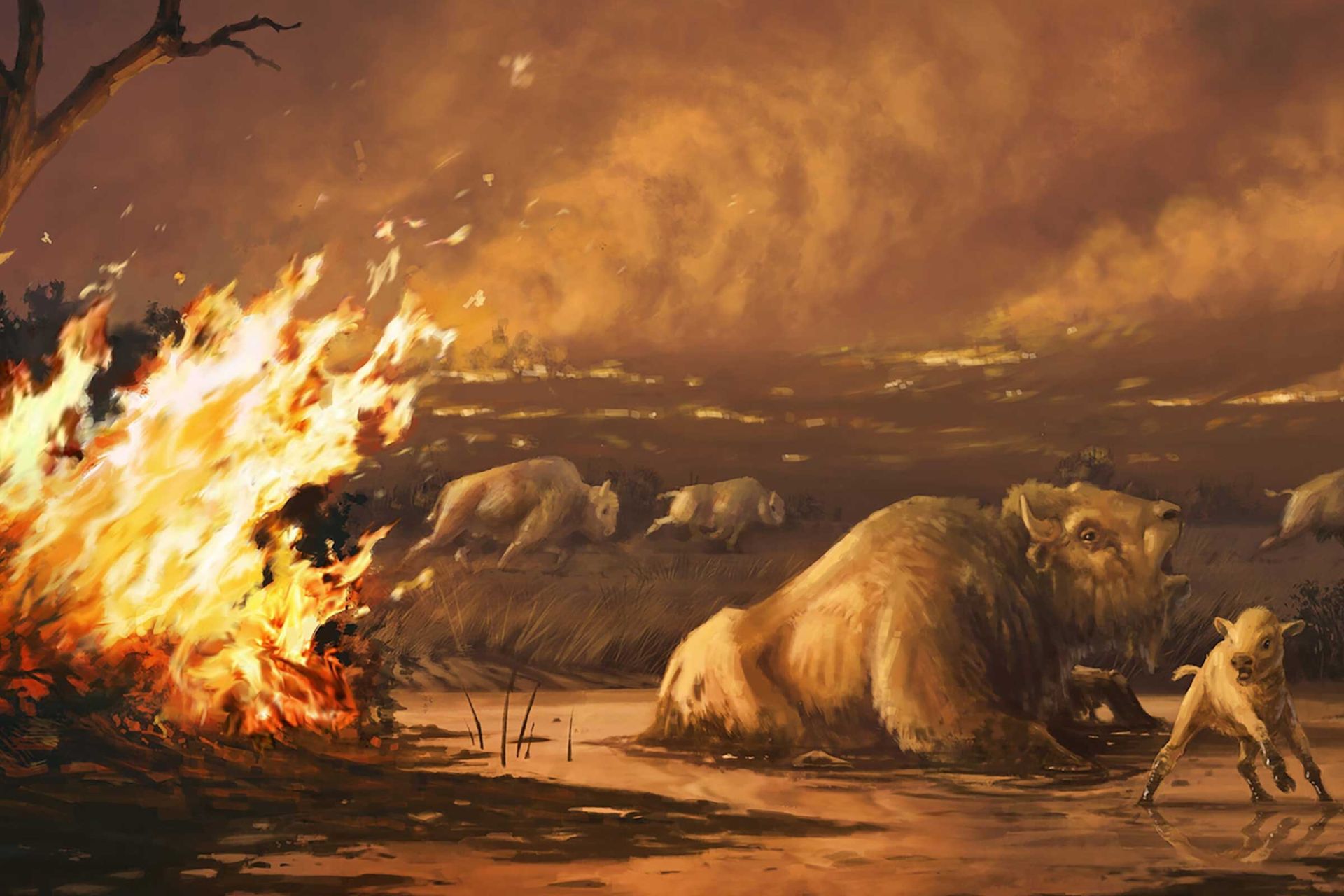 مواجهه پستانداران با آتش‌سوزی‌های ویرانگر