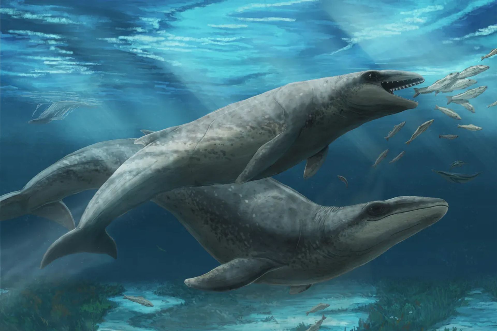 وال شکارچی باستانی