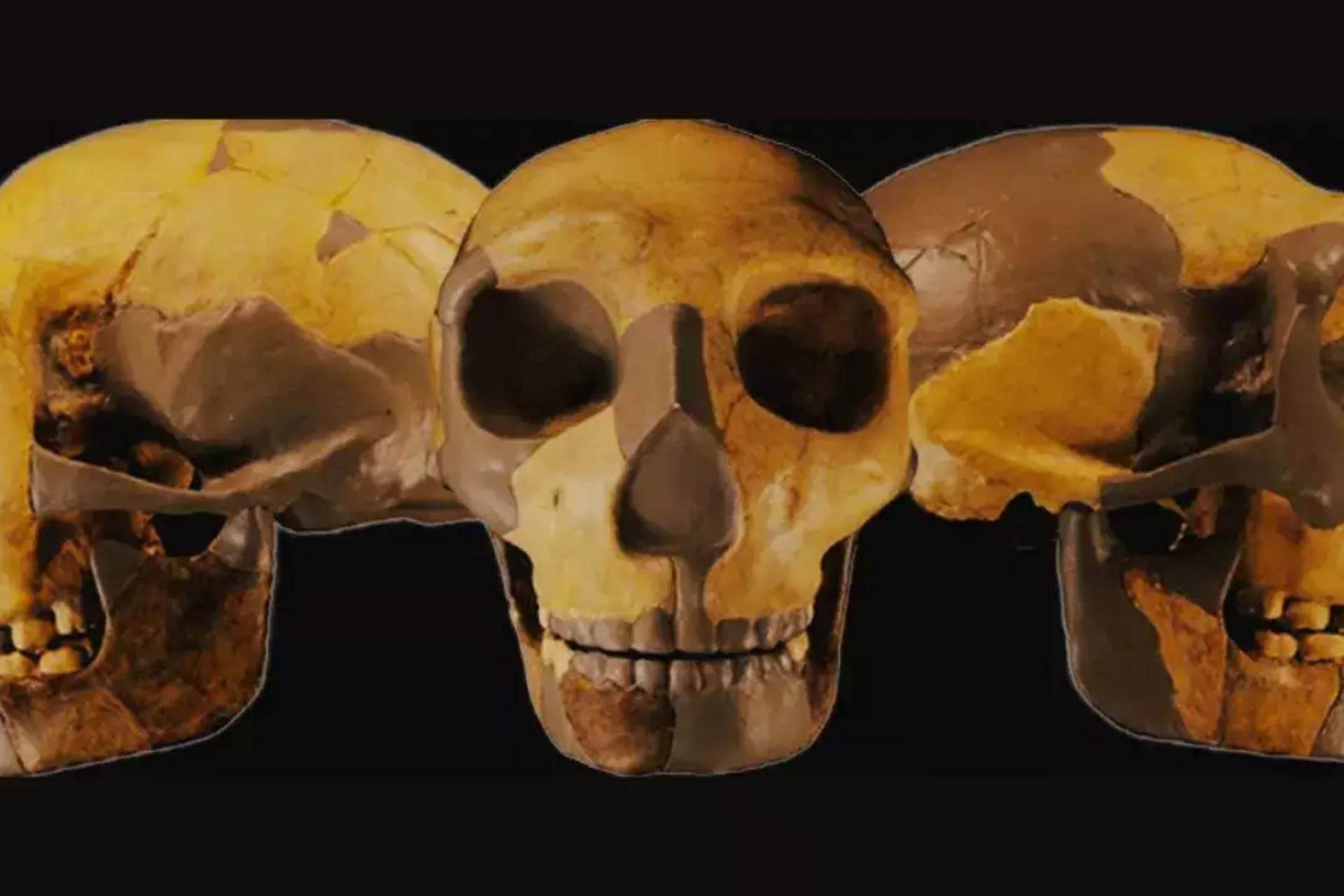 جمجمه‌ باستانی کشف‌شده در چین به هیچ انسان‌تبار شناخته‌شده‌ای شباهت ندارد