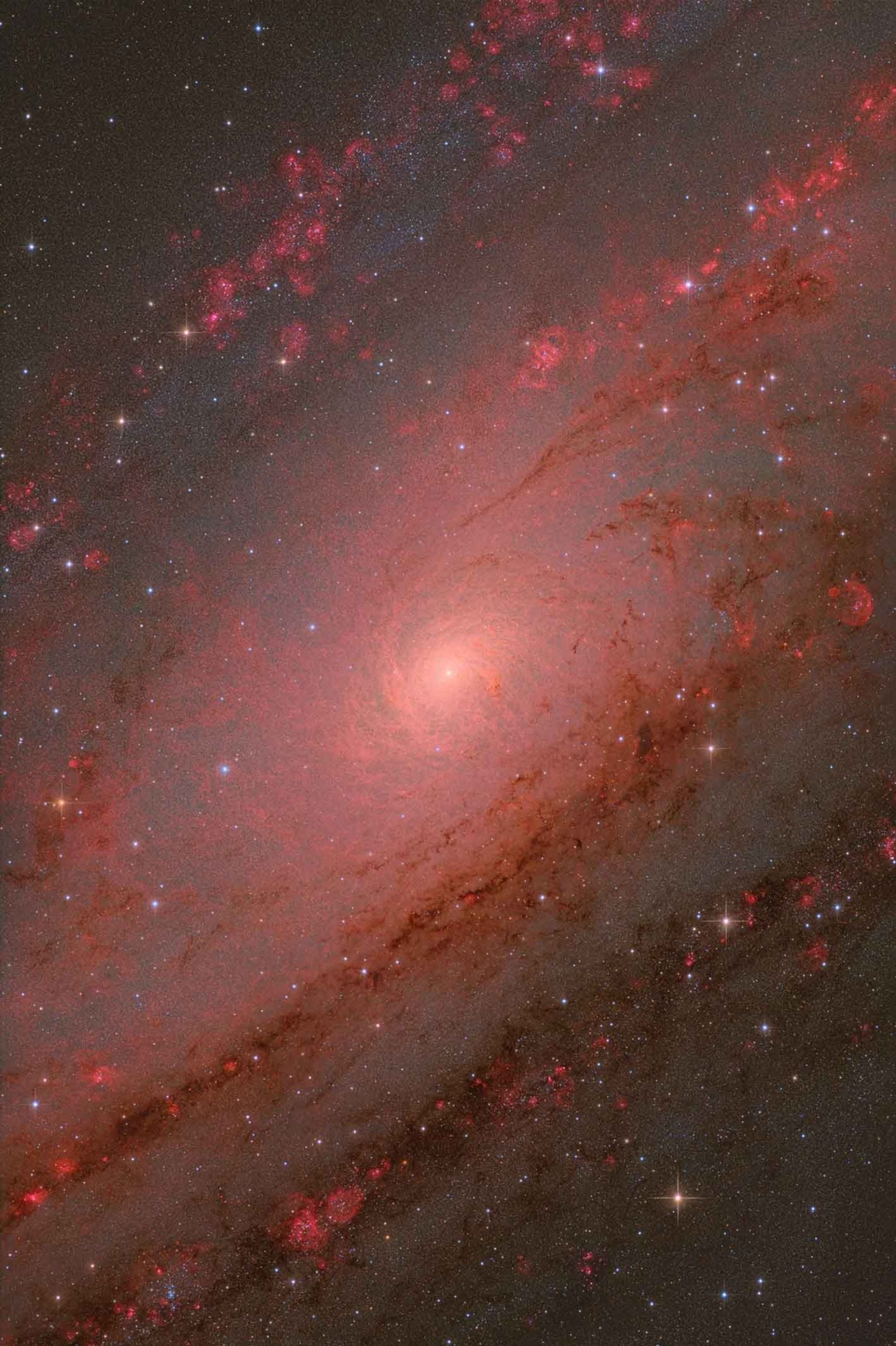 هسته اندرومدا