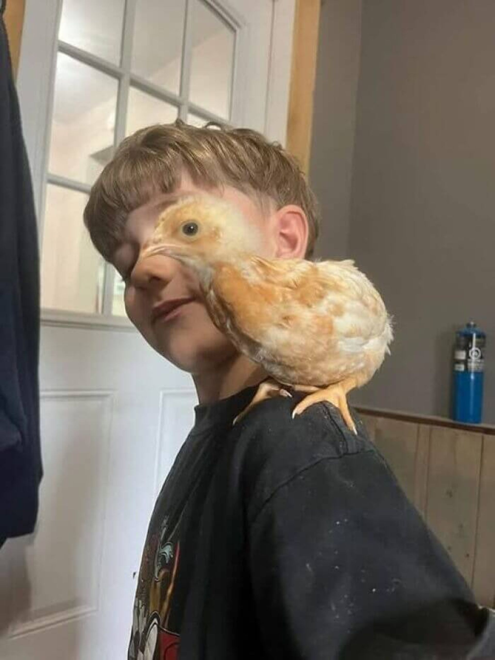 پرنده ای قرار گرفته جلوی صورت یک پسر