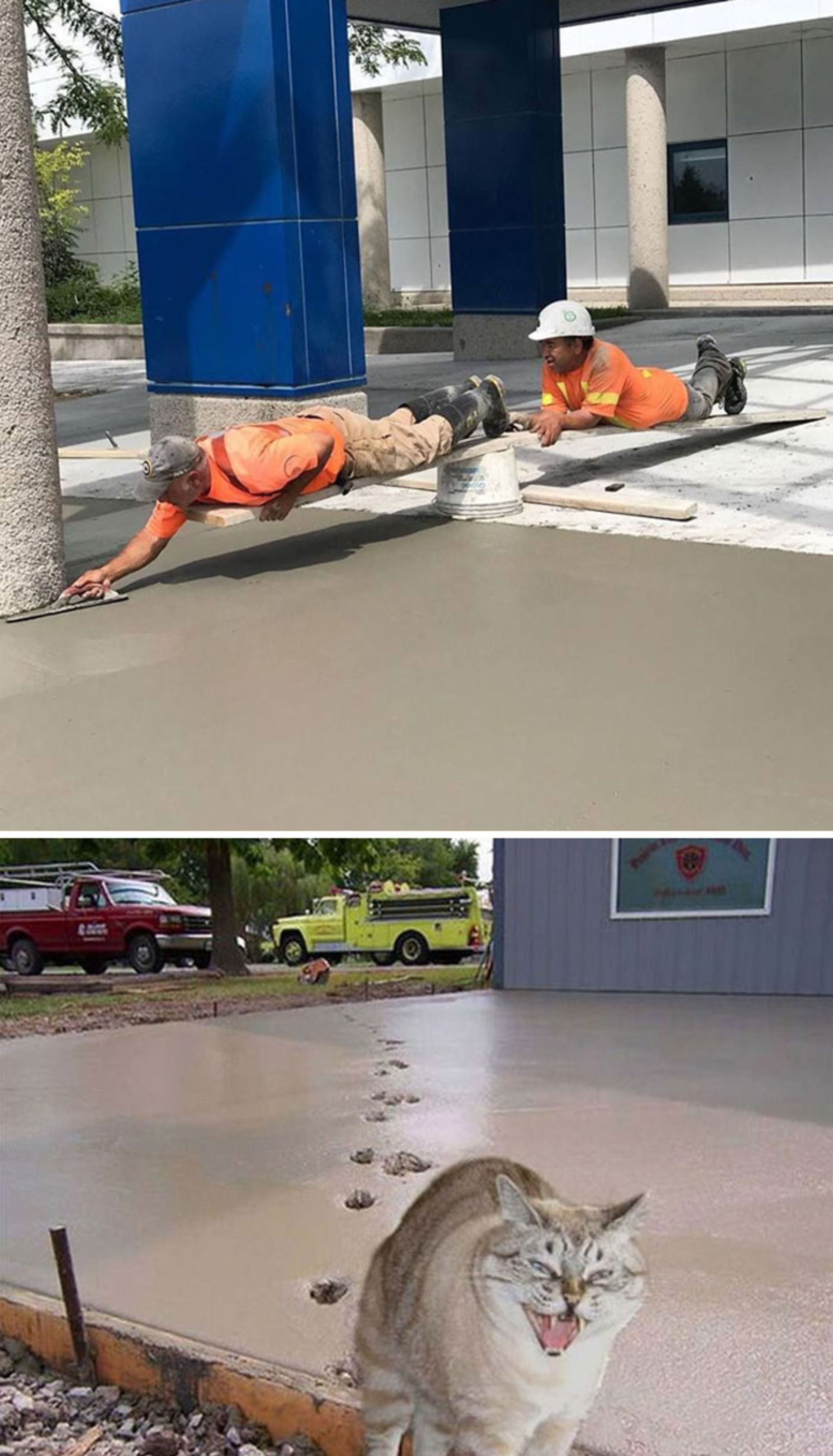 کارگران در حال صاف کردن زمین 