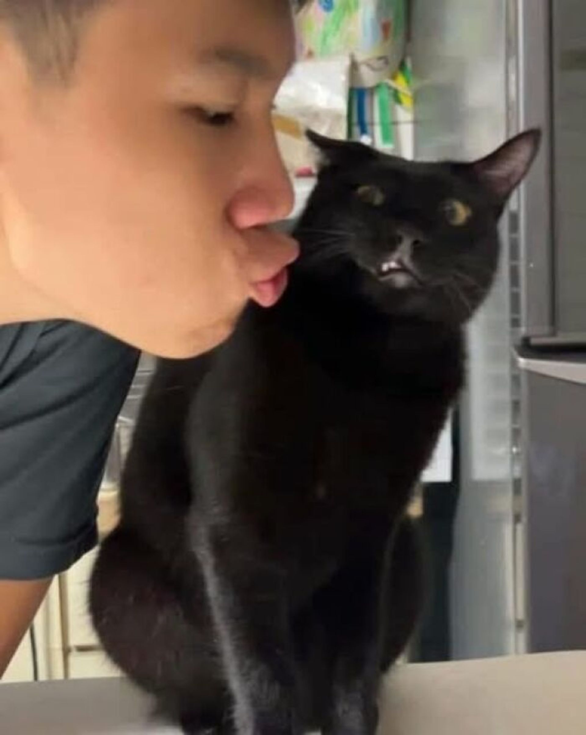 گربه سیاه و پسر جوان