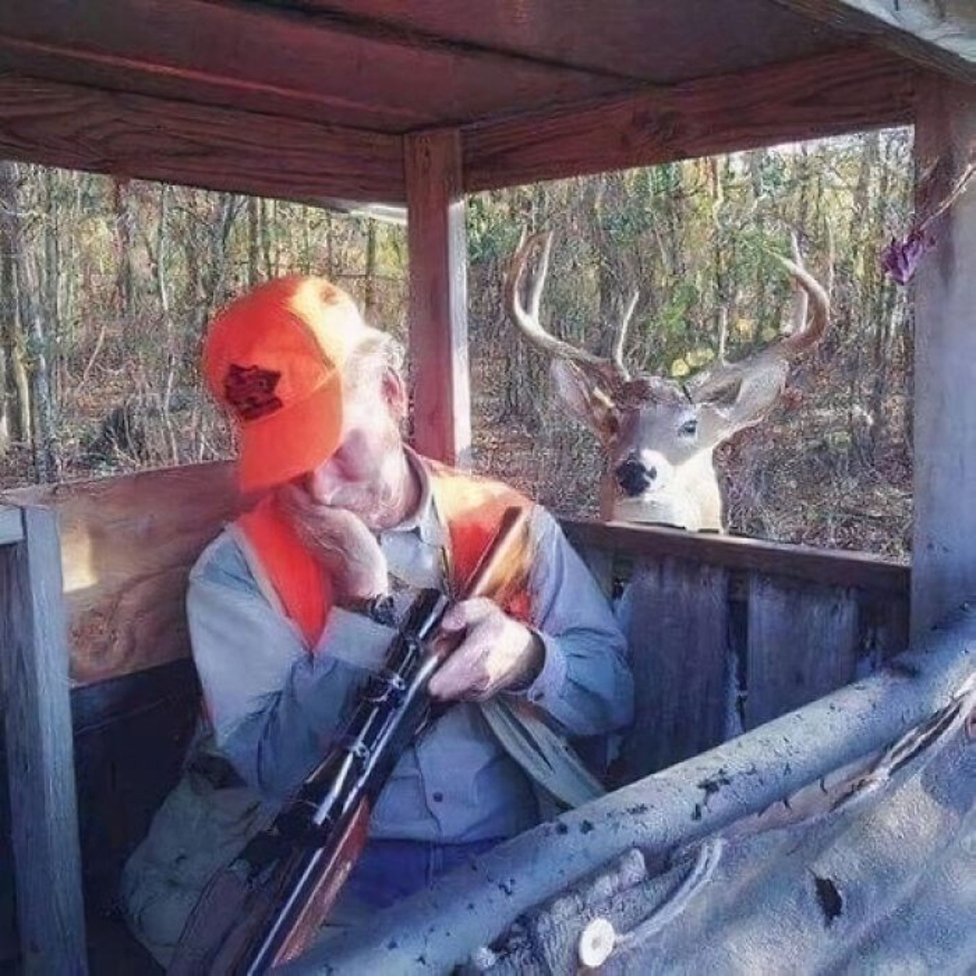 گوزن و نگهبان در ماشین