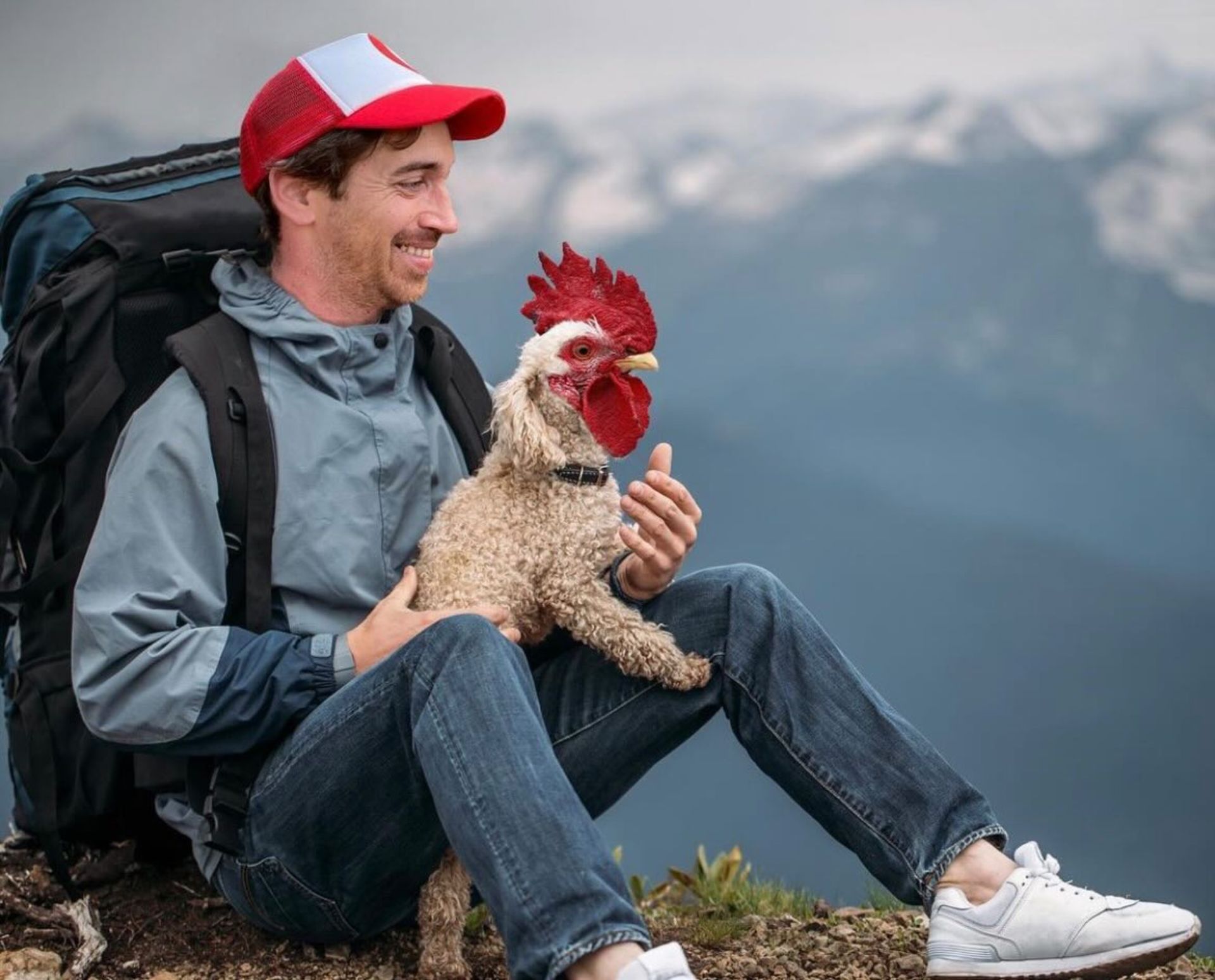 حیوان هیبریدی - سگ خروس در دست مرد روی کوه