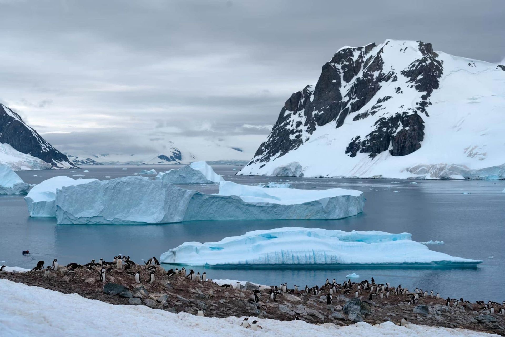 منظره‌ای جنوبگان یخ دریا و پنگوئن‌هایی روی سنگ و یخ