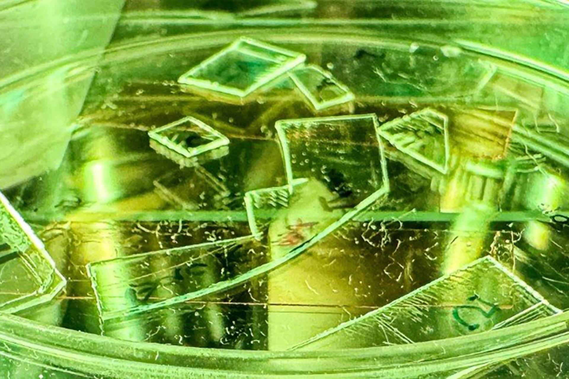 نمای نزدیک از ماده ضدویروس