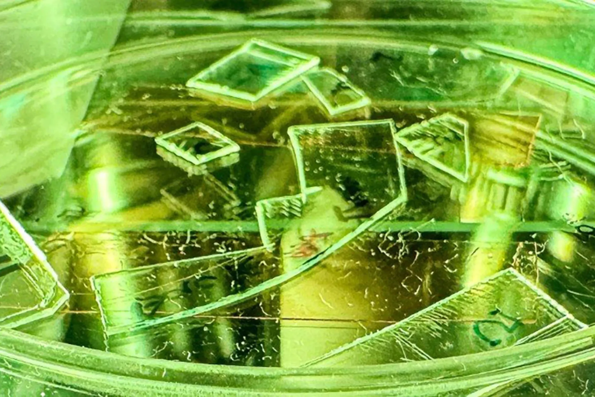 نمای نزدیک از ماده ضدویروس