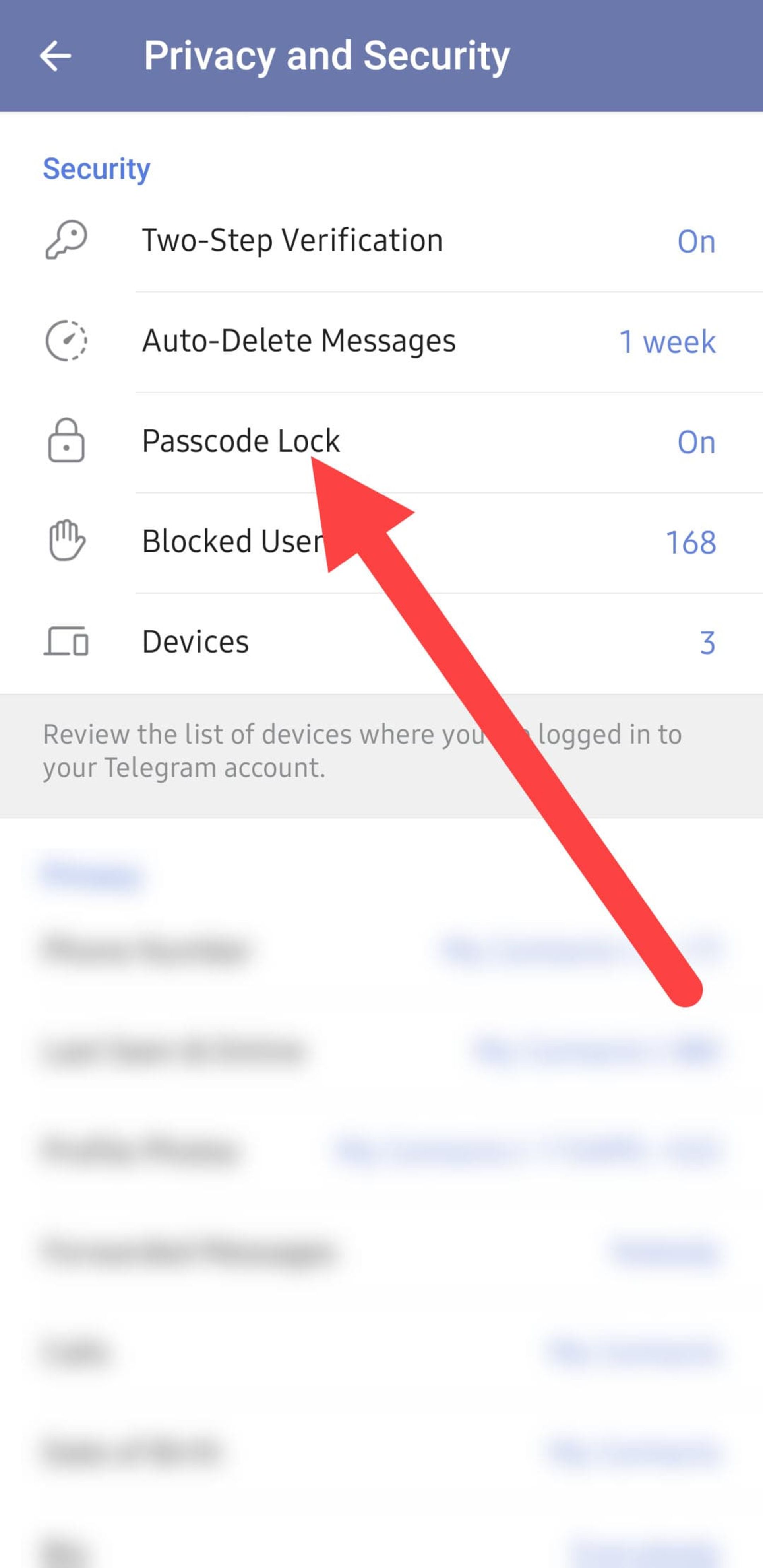 Telegram program lock settings