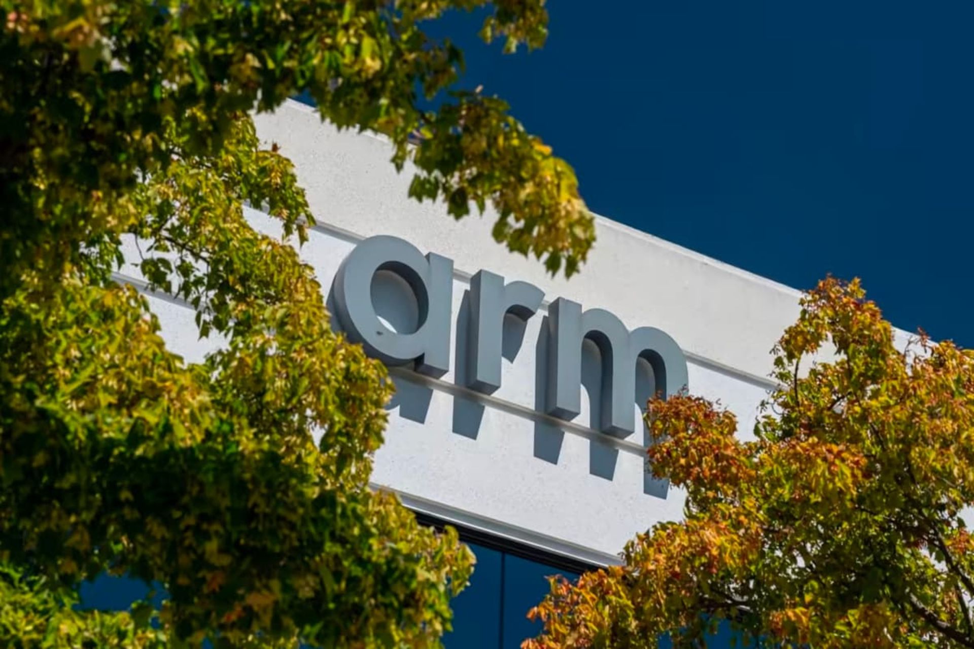 لوگو آرم / ARM در میان درختان آسمان آبی