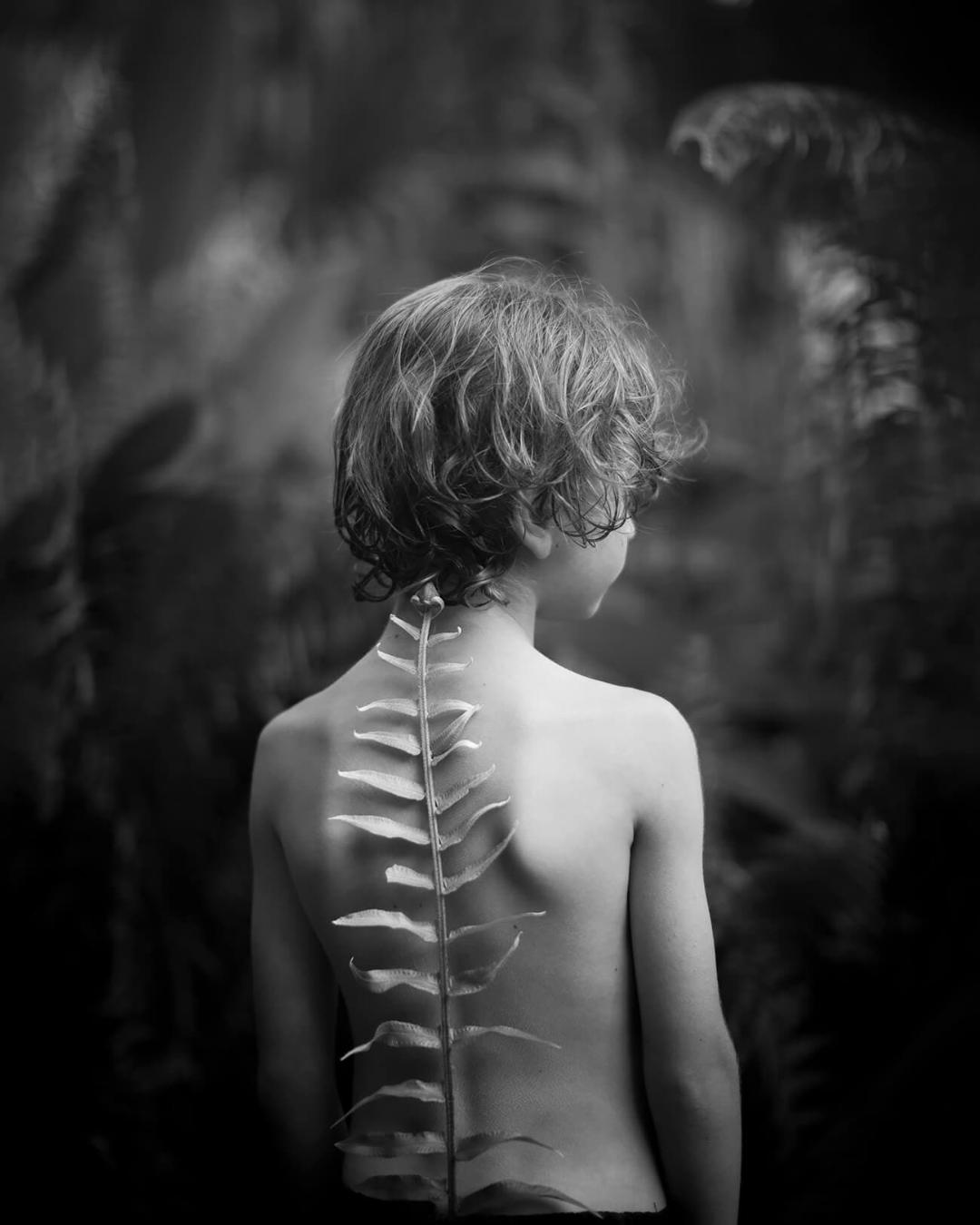 مسابقه طبیعت AAP