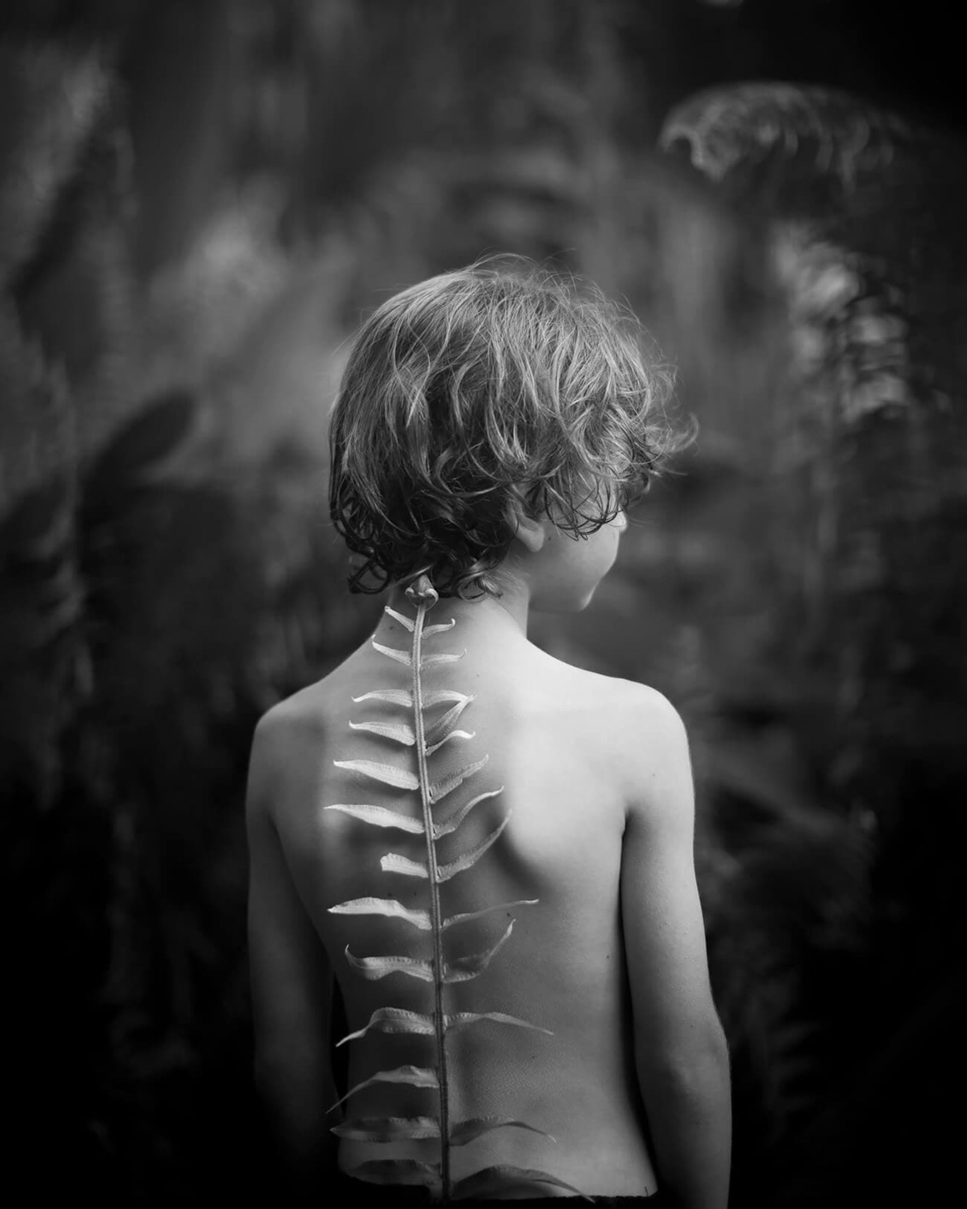 مسابقه طبیعت AAP