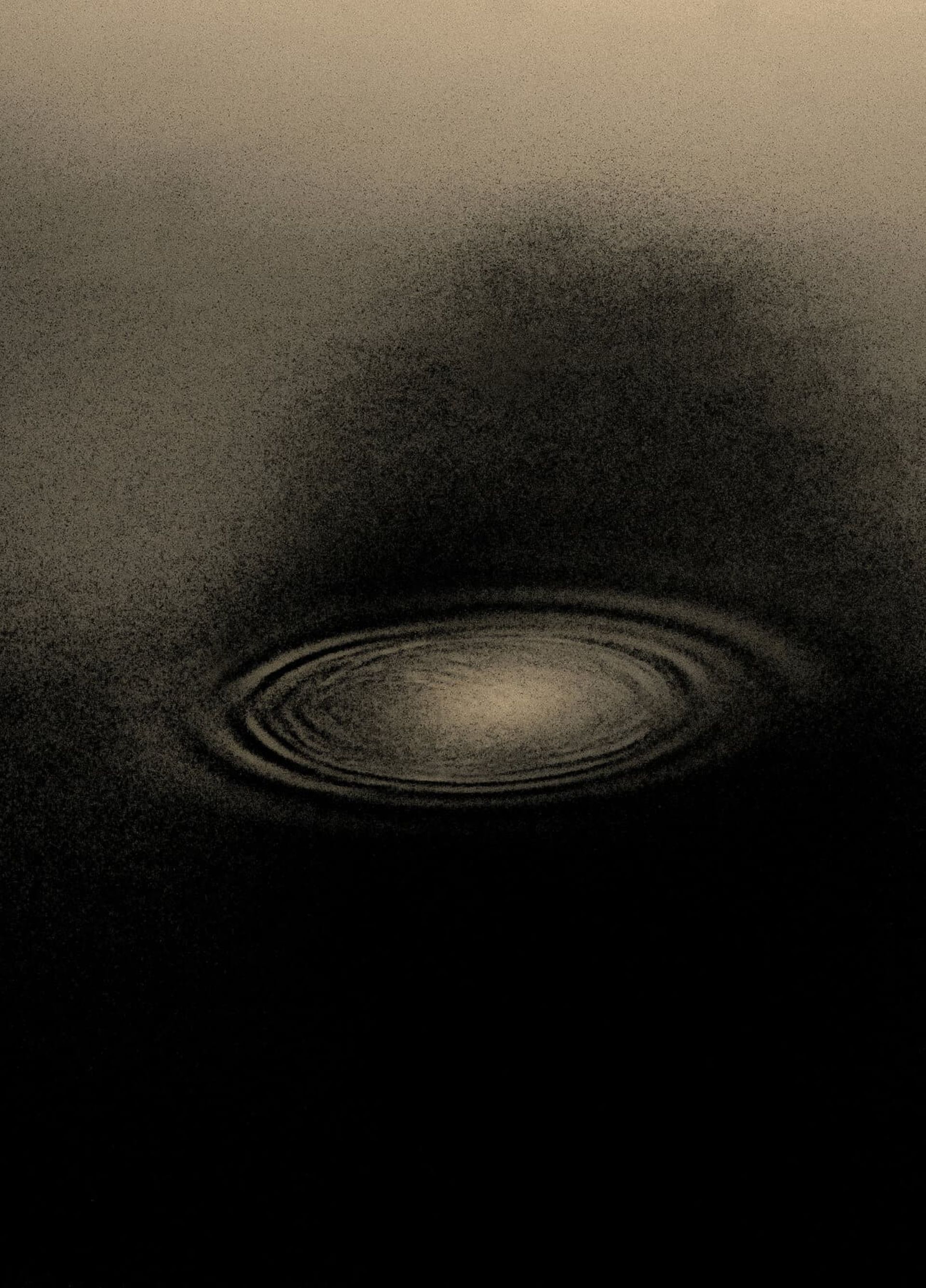 مسابقه طبیعت AAP